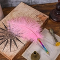 Pink ostrich feather ballpoint pen with rainbow gradient metal barrel in a vintage set - Pink