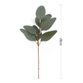 Detail of grey-green artificial eucalyptus leaves with fine veins and a red-brown stem - Eucalyptus Leaf