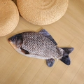 Lifelike crucian carp plush pillow cover with realistic digital printing on wood floor - Crucian Carp Skin / 30cm No Zipper