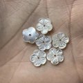 Hand holding six white natural shell beads in a five-petal flower shape for DIY - From 20 Pcs / 10mm White Mop Shell