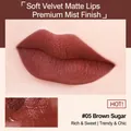 Matt-samtiger Lippenstift #05 Caramel Tipsy mit tiefbraunrotem Finish - 6.5g / 05# Karamell Beschwipst