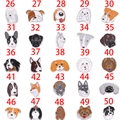 Collection of 25 cartoon dog enamel pins featuring various breeds like Husky and Corgi - 25mm / Selection 2