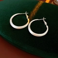 Dettaglio di orecchini a cerchio geometrici opachi argento su sfondo velluto verde - 2.5cm / Argento - Piccolo