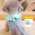 Blue plaid pet harness vest and matching 1.2M leash set for small dogs and cats - Aqua Green / S (Under 2.5kg)