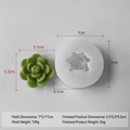 White succulent silicone mold and green cactus resin finished piece for DIY crafts - Succulent J-1075