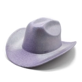 Classic western cowboy hat with purple and silver metallic stripes for party performance - M (56-58cm) / Light Purple
