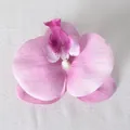 Testa di orchidea artificiale sfumata rosa e viola per decorazioni nuziali fai da te - Pellicola 3D Viola Chiaro N. 2 (Piccolo)
