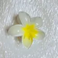 Pince à cheveux Plumeria dégradé blanc et jaune avec une finition gelée translucide - Blanc + Jaune