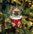 Kreativer Weihnachtsanhänger mit Französischer Bulldogge in einer roten Socke - Französische Bulldogge Typ 4