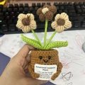 Handmade knitted emotional support plant with beige flowers and positive message card - Coffee Floral