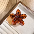 Elegant amber tortoiseshell flower hair claw clip displayed in a wooden jewelry box - Red Brown Leopard