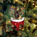 Weihnachtsstrumpf-Anhänger mit Schäferhund-Welpen und festlichem Rentiergeweih - Belgischer Malinois