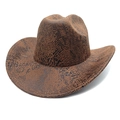 Macro detail of brown snakeskin print texture on wide-brimmed suede cowboy hat - Khaki