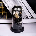 Detail of white soap rose in glass dome with LED fairy lights and black ribbon - Warm White Lights + Glass Dome + Pink Gift Box / Ultimate Black Rose