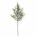 Detailed view of artificial eucalyptus branch with realistic green leaves and brown stem - Small Eucalyptus Gray Green