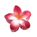 Pink gradient frangipani flower hair claw clip with orange center and acetate finish - Gradient Bauhinia Claw [Red]