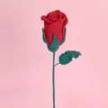 Handcrafted red crochet rose with green leaves on pink background for Valentine's gift - Red