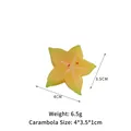 Realistisches gelbes Sternfrucht-Modell aus PVC, 4x3,5x1cm Größe ohne Verschluss-Anhänger - Ohne Clip