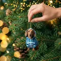 Cute acrylic dachshund dog ornament in blue striped hoodie with festive gold string - 13-Blue Striped Dachshund