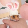 Handmade pink bunny knit hat with plush ball for hamsters and small pets - White Rabbit