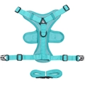 Adjustable tiffany blue pet harness and leash set with breathable mesh and reflective strips - Classic Lake Blue