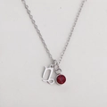 Silver stainless steel zodiac necklace with a red round faceted birthstone pendant - Silver-Capricorn