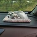 Detail of grey and white plush husky toys resting on a soft beige mat inside a car - Husky Parent-Child Lying Set