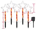 Solar Christmas pathway lights with star-shaped LEDs and candy cane striped stakes - Star (Red Tube)