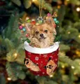 Weihnachts-Chihuahua in roter Socke mit Rentiergeweih als festlicher Baumschmuck - Chihuahua Typ 6