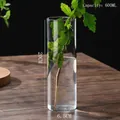 Borosilicate glass hydroponic cylinder vase, 20cm height 600ml capacity for plants - D6.5cm*H20cm (600ML)