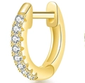 Gouden titanium stalen oorring met een rij sprankelende gefacetteerde zirkoonstenen - 6# Micro-pave Kleine ring / Goud
