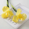 Iris Yellow