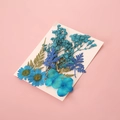 Blaue Trockenblumen mit Gänseblümchen für DIY-Bastelarbeiten auf rosa Hintergrund - Blaues Vergissmeinnicht