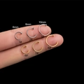Nahaufnahme von G23 Titan Nasenringen in 6mm, 8mm, 10mm Größen auf einer Fingerspitze - 6mm (1#) / Silber