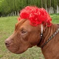 Funny red curly wig for dogs and cats with adjustable strap for festive pet party costume - Red Afro