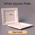 Eco-friendly 6-inch white square sugarcane pulp disposable plates, 16cm size - 6 Inch Square Plate Thickened / White