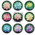 8-piece set of DIY lotus diamond painting coasters with a black metal holder - Colorful Lotus Style