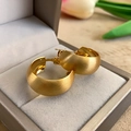 Matte gold bow-shaped half-hoop earrings with a brushed metallic texture in a gift box - E5623 Silver Needle - Gold