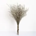 Dried Limonium flower bouquet in natural purple and grey-green tones with gold tie - Natural (120g)