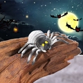 Miniature Halloween spider toy in grey and black with yellow eyes on weathered wood - Style G Black Spider