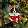 Berner Sennenhund Weihnachtsanhänger in rotem Strumpf mit festlichem Rentiergeweih - Berner Sennenhund Typ 2