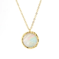 Minimalistische roestvrijstalen ketting met ronde schelphanger en gouden montuur - Goud