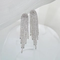 Dettaglio di eleganti orecchini lunghi a nappa con strass argentati brillanti per donna - Pendenti con Nappa Lunga / Piccola Edizione-JXER-50 / Argento