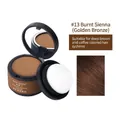 Hairline shadow powder #13 Auburn Bronze for dark brown hair with puff and mirror - 13# Golden Bronze