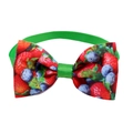 Dettaglio di papillon verde per animali con stampe di fragole e mirtilli su poliestere - Fragola + Mirtillo