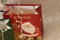 Festliche rote Weihnachts-Geschenktüte mit Weihnachtsmann-Motiv auf flauschigem Untergrund - Rote Weihnachts-Handtasche 20*10*20cm
