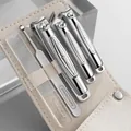 Five-Piece Set Electroplated Silver