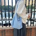 Detail showing the large capacity and soft fabric texture of the blue checkered tote bag - Lake Blue Grid
