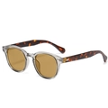 Détail de lunettes de soleil rondes rétro avec monture grise et branches en écaille - Monture Trans Grise Branche Écaille Verre Thé (C43)