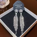 S925 silver long zircon tassel earrings in silver finish on a black display box - E0335 Silver Needle (Long Full Diamond Tassel Silver)